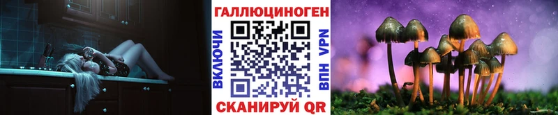 Галлюциногенные грибы Psilocybine cubensis  Ачинск 